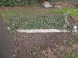 image of grave number 768285